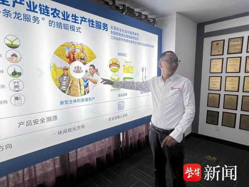 數(shù)智養(yǎng)豬場(chǎng) AI管家全天候守護(hù)，教育咨詢開啟智能養(yǎng)殖新篇章