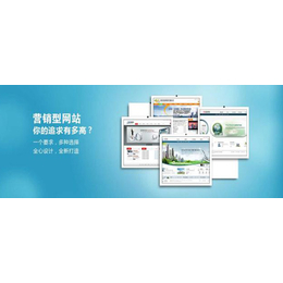 營(yíng)銷型網(wǎng)站開發(fā) 打造高效獲客與轉(zhuǎn)化的數(shù)字門戶